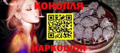 сатива Краснознаменск