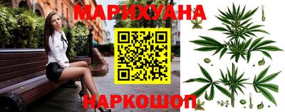 сатива Краснознаменск
