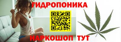 шишки Краснокаменск