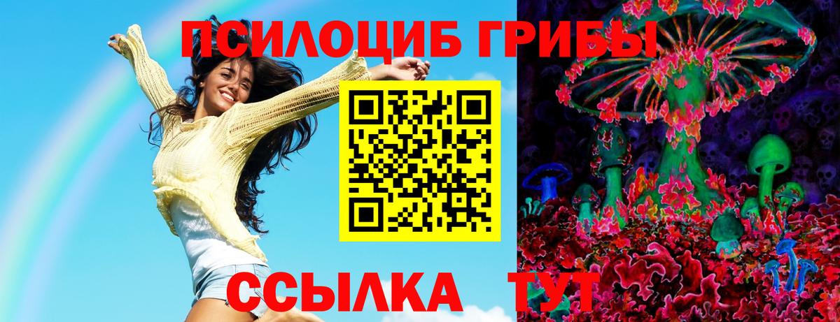 Галлюциногенные грибы Psilocybe Елец